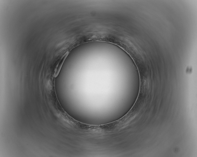 X0000096151250200802011225