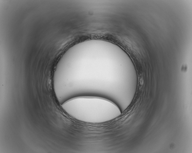X0000096151252200802011225
