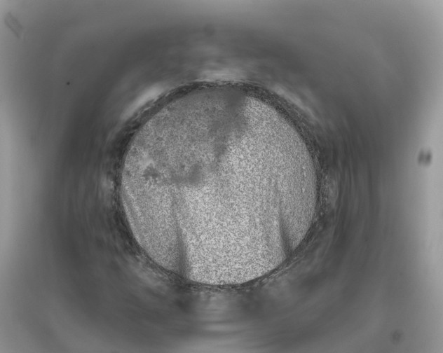 X0000096151254200802011225
