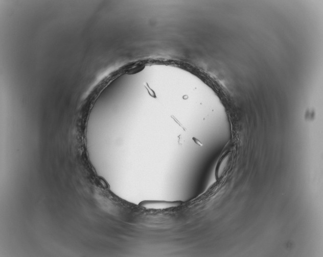 X0000096151256200802011225