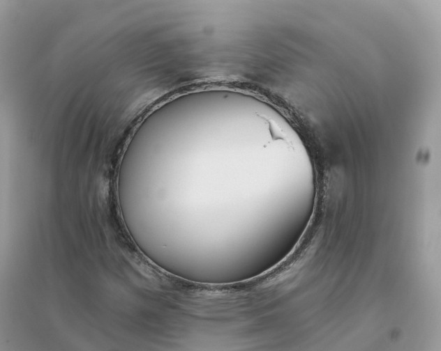 X0000096151257200802011225