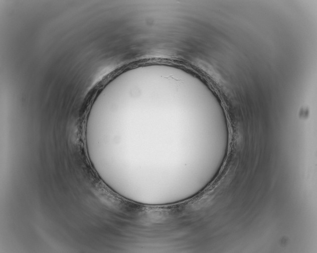 X0000096151258200802011225