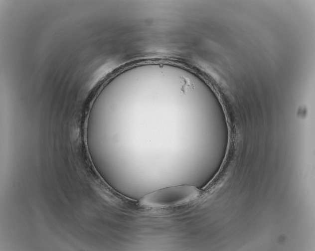 X0000096151259200802011225