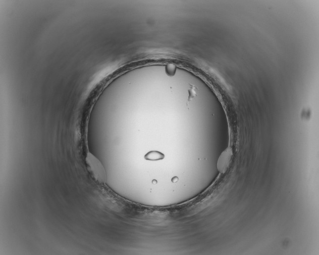 X0000096151261200802011225