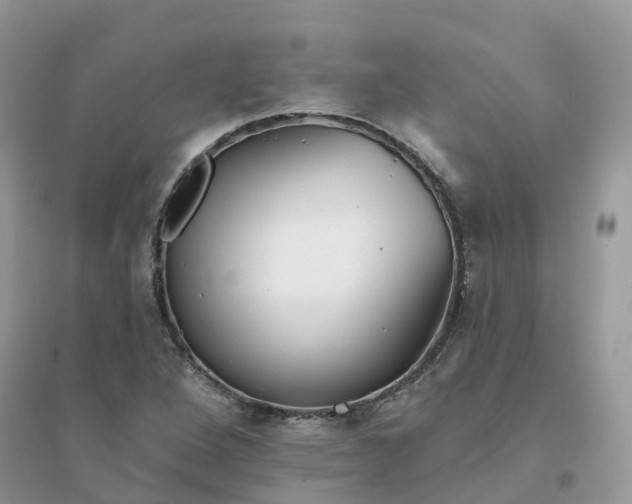 X0000096151264200802011225