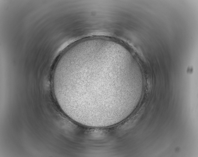 X0000096151266200802011225