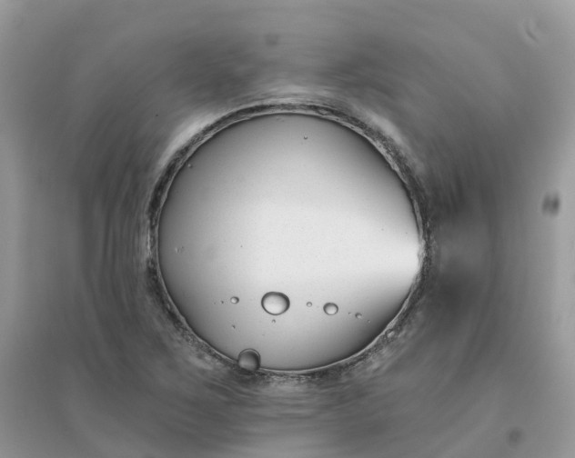 X0000096151267200802011225