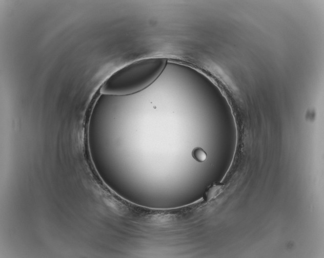 X0000096151268200802011225