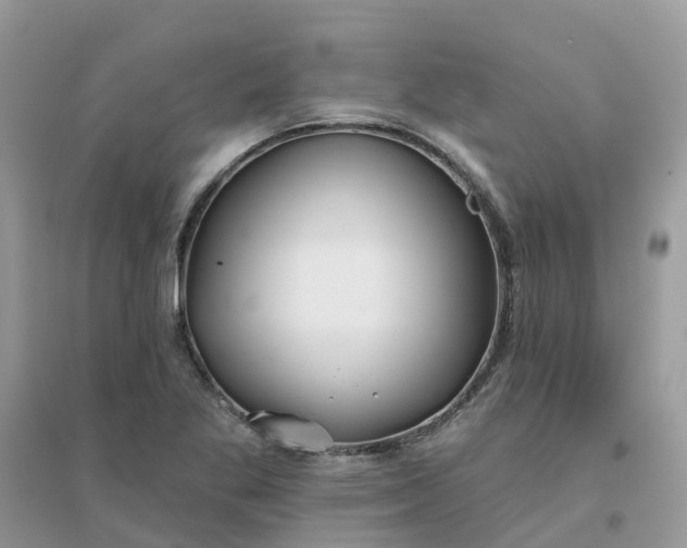 X0000096151269200802011225