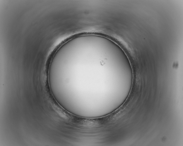 X0000096151270200802011225