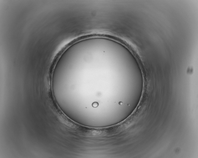 X0000096151271200802011225