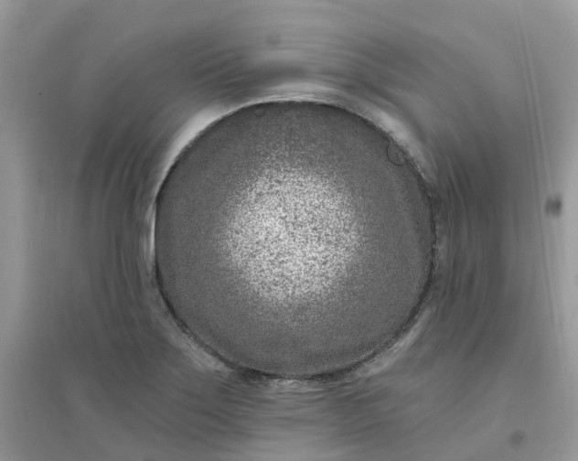 X0000096151275200802011225