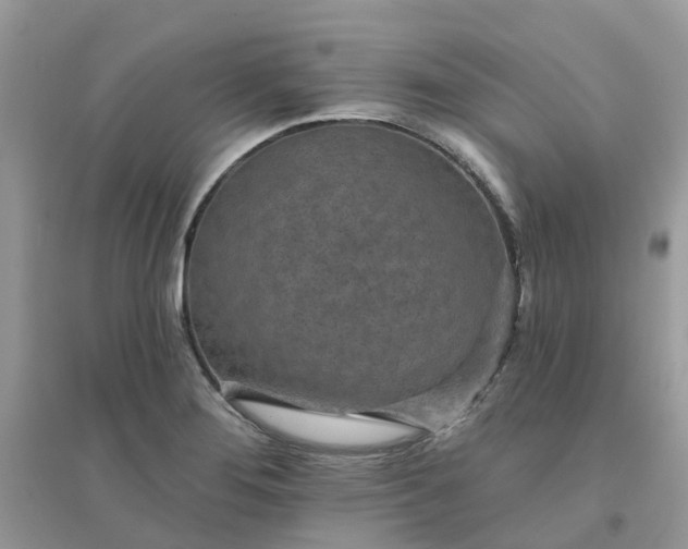 X0000096151276200802011225