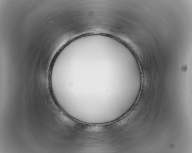 X0000096151278200802011225