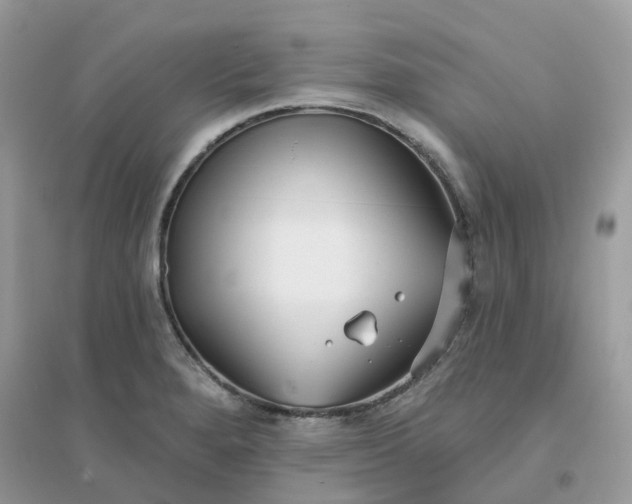 X0000096151280200802011225
