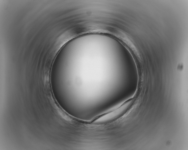 X0000096151281200802011225