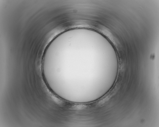 X0000096151282200802011225