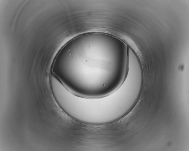 X0000096151284200802011225