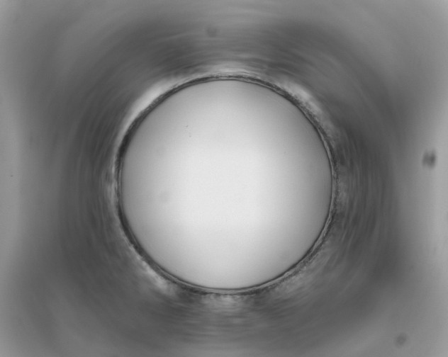 X0000096151286200802011224