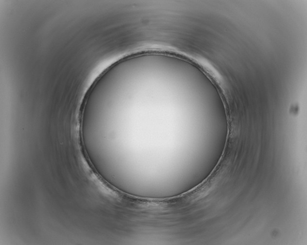 X0000096151287200802011224