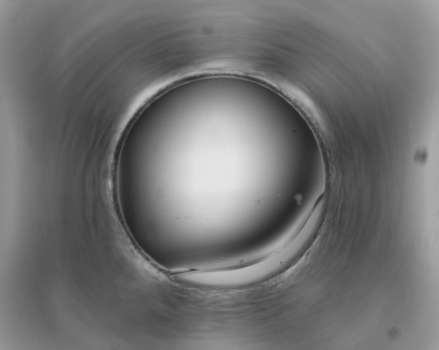X0000096151288200802011224