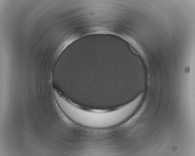 X0000096151289200802011224