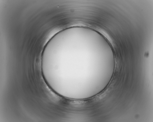 X0000096151290200802011224