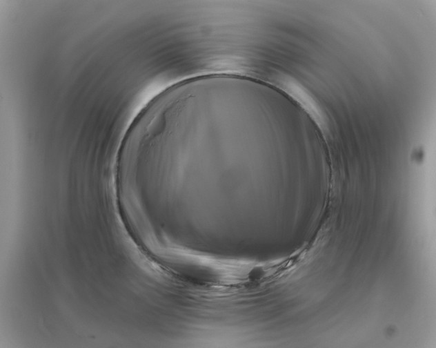 X0000096151291200802011224