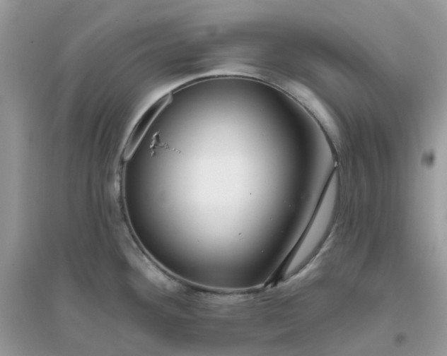 X0000096151292200802011224