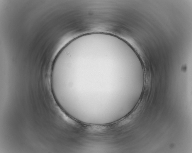 X0000096151294200802011224