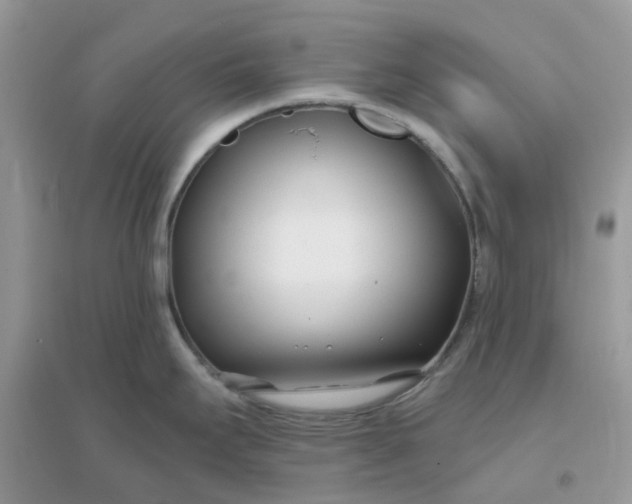 X0000096151295200802011224