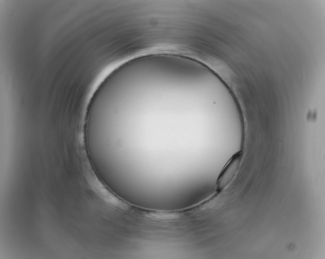 X0000096151296200802011224