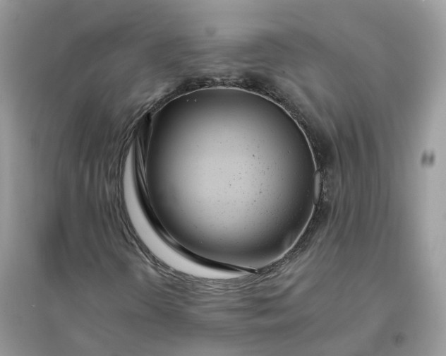 X0000096151298200802011224