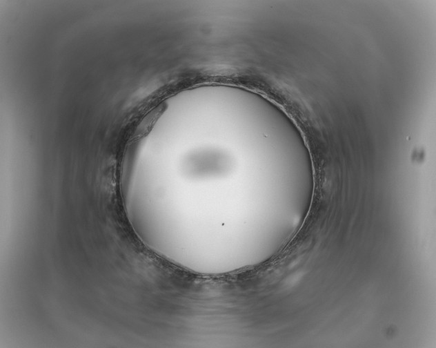 X0000096151301200802011224