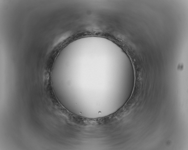 X0000096151302200802011224