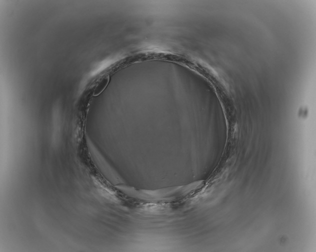 X0000096151303200802011224