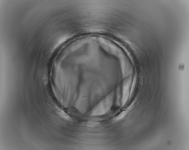 X0000096151306200802011224