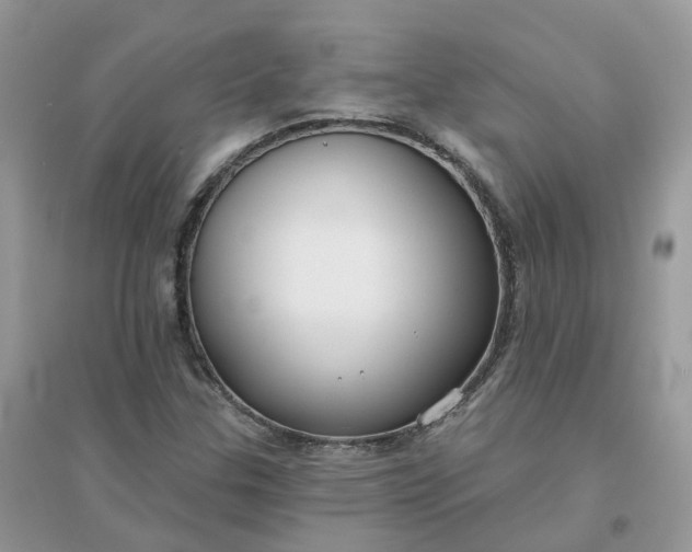 X0000096151307200802011224