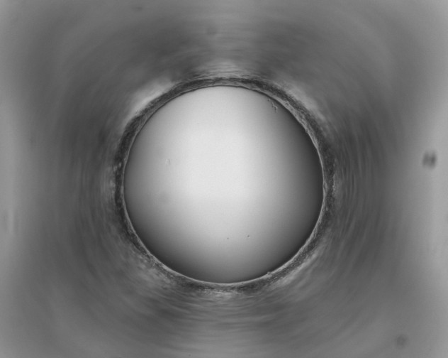 X0000096151309200802011224