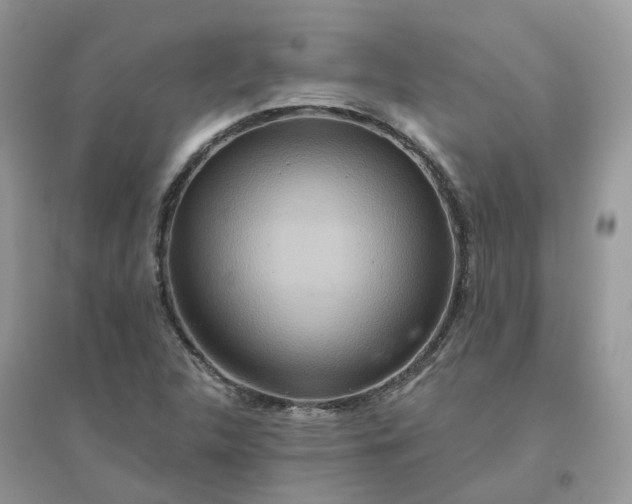 X0000096151312200802011224