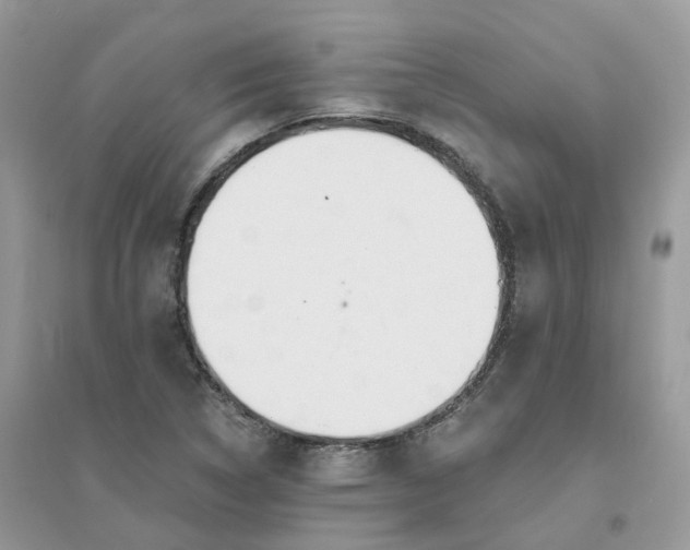 X0000096151314200802011224