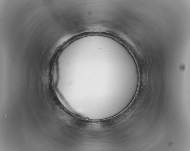X0000096151315200802011224