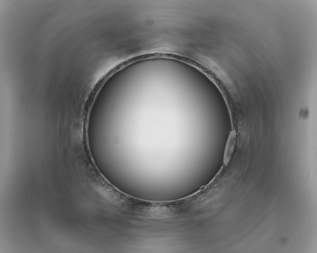 X0000096151316200802011224