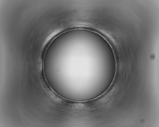 X0000096151317200802011224