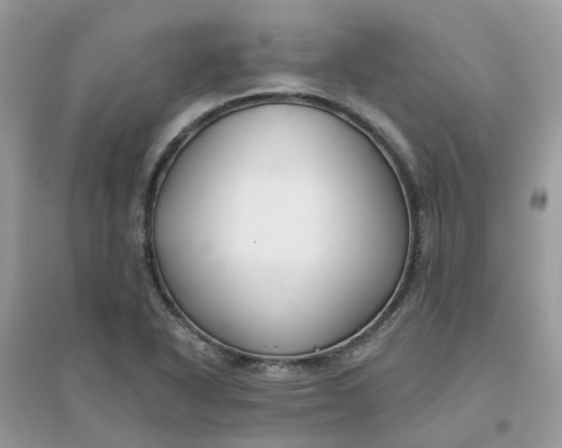 X0000096151318200802011224