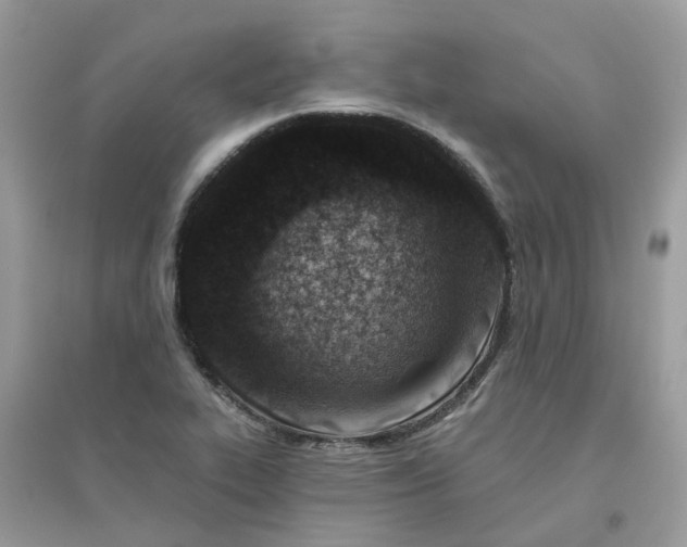 X0000096151319200802011224