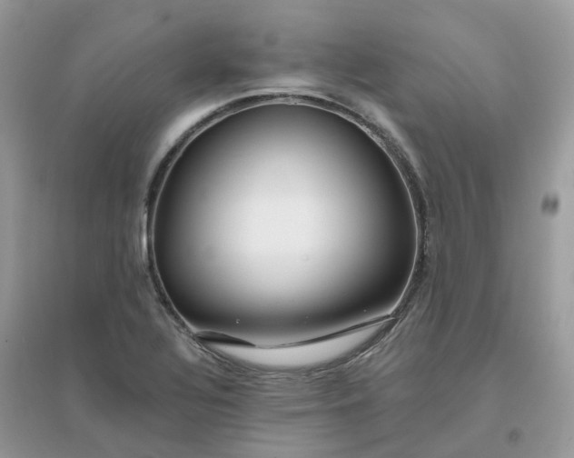 X0000096151320200802011224