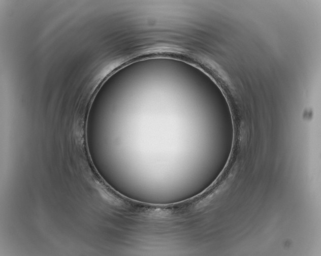 X0000096151321200802011224
