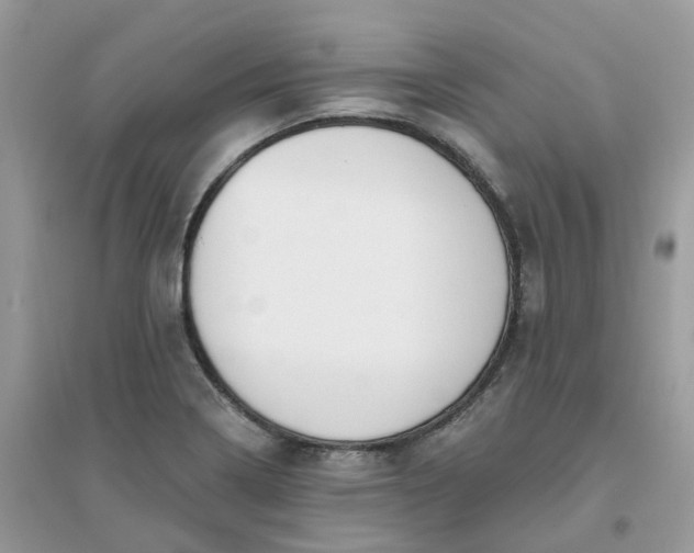 X0000096151322200802011224