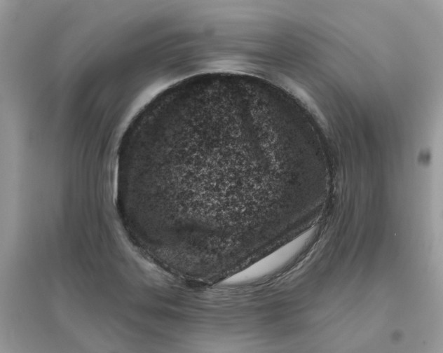 X0000096151323200802011224